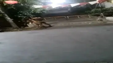 Doggy Brutal di Portal Komplek, Memek Ketahuan Tetangga